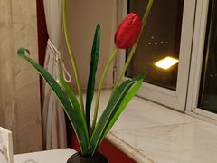 -红顶食府(滨湖九号店)