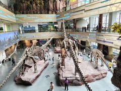 -安徽省地质博物馆