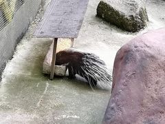 -呀诺达热带雨林