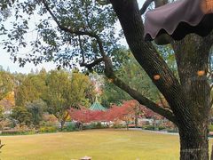 -申粤轩酒楼·三十年粤菜经典(丁香花园店)