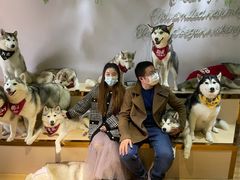 -Husky Go! 哈士奇体验馆·宠物咖啡厅狗咖