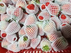 -菜园坝水果市场