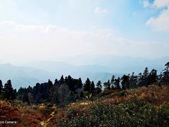 -莫干山风景区