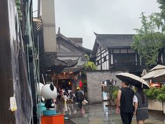 -小龙翻大江文化火锅(宽窄店)