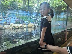 -广州长隆国际大马戏