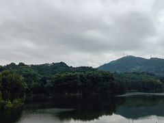-燕晗山郊野公园