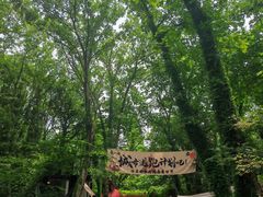 -张鸟园农家乐(张鸟园店)