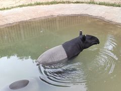 -杭州野生动物世界