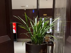 -豫满楼(郑东新区店)