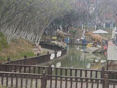-青枫公园