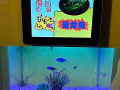 -海合安青岛极地海洋公园
