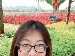 -美的鹭湖森林度假区