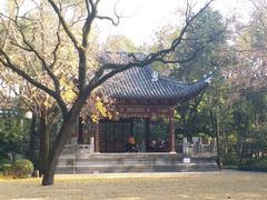 -汇龙潭