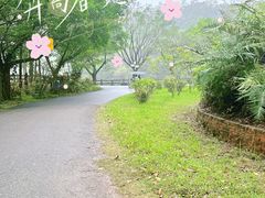 -李小龙乐园(顺德均安店)