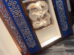 -哈啾嗨·新概念蒙餐(红星新城店)