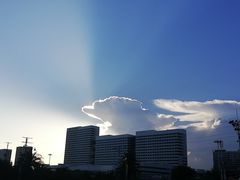 -有猫主题·治愈系猫咖(曾厝垵店)