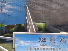 -西霞口神雕山野生动物世界