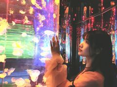 -石家庄海洋公园