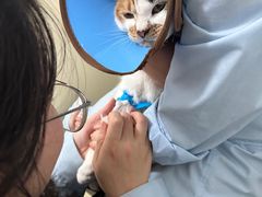 -汪喵宠物医院·骨科心脏影像·犬猫急重症ICU诊疗中心(成华分院)