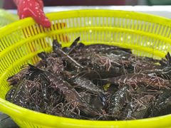 -板桥海鲜广场(文明东店)