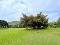 -三亚南山文化旅游区