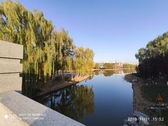 -大兴滨河森林公园