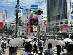 -涩谷全向十字路口