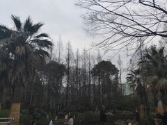 -苏州河梦清园环保主题公园