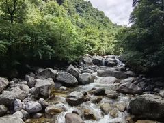 -青峰峡国家森林公园