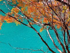 -叠溪松坪沟景区