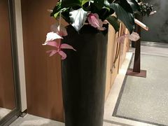 -多瑙河游船