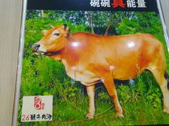 -谢继红26号牛肉汤(田家庵店)