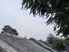 -自如ZSPACE四合院艺术餐厅