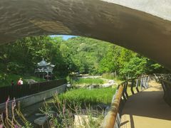 -白水寺森林公园