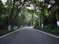-火炉山森林公园