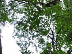 -北京上方山国家森林公园