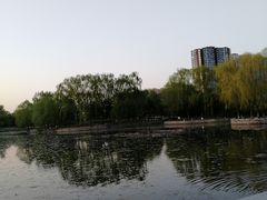 -望湖公园