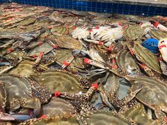 -一方渔歌蒸汽海鲜自助(文化路万达广场店)