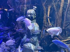 -华夏文旅西安度假区