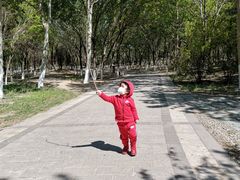 -桃苑公园