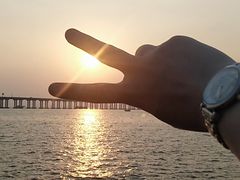 -宝安西湾红树林湿地公园