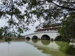 -大湾区中央湿地公园