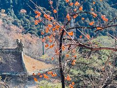-潭柘寺景区
