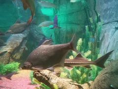 -沈阳海洋探索中心