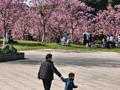 -凤凰沟景区