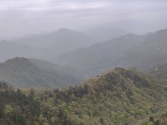 -内乡宝天曼生态旅游区