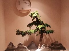 -璞禅足道(观音桥旗舰店)