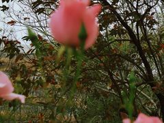 -人民公园(罗湖区)