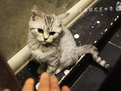 IMG_9161_副本-吱咖啡西式简餐