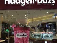 门面-哈根达斯(石家庄北国店)
